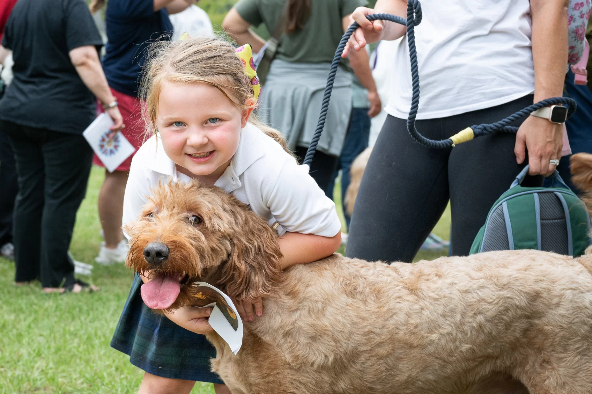 Blessing Of The Animals 82793.webp